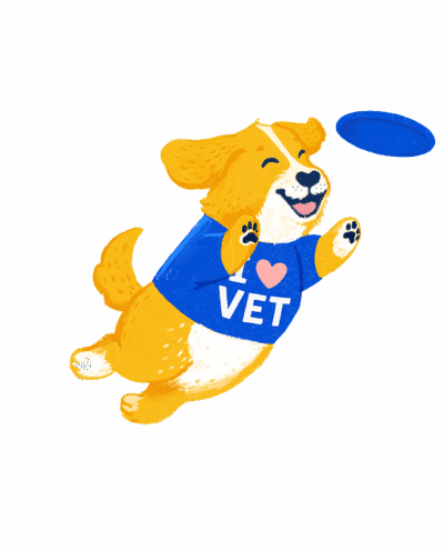 Better Veterinary Practice Software Today | Instinct Science