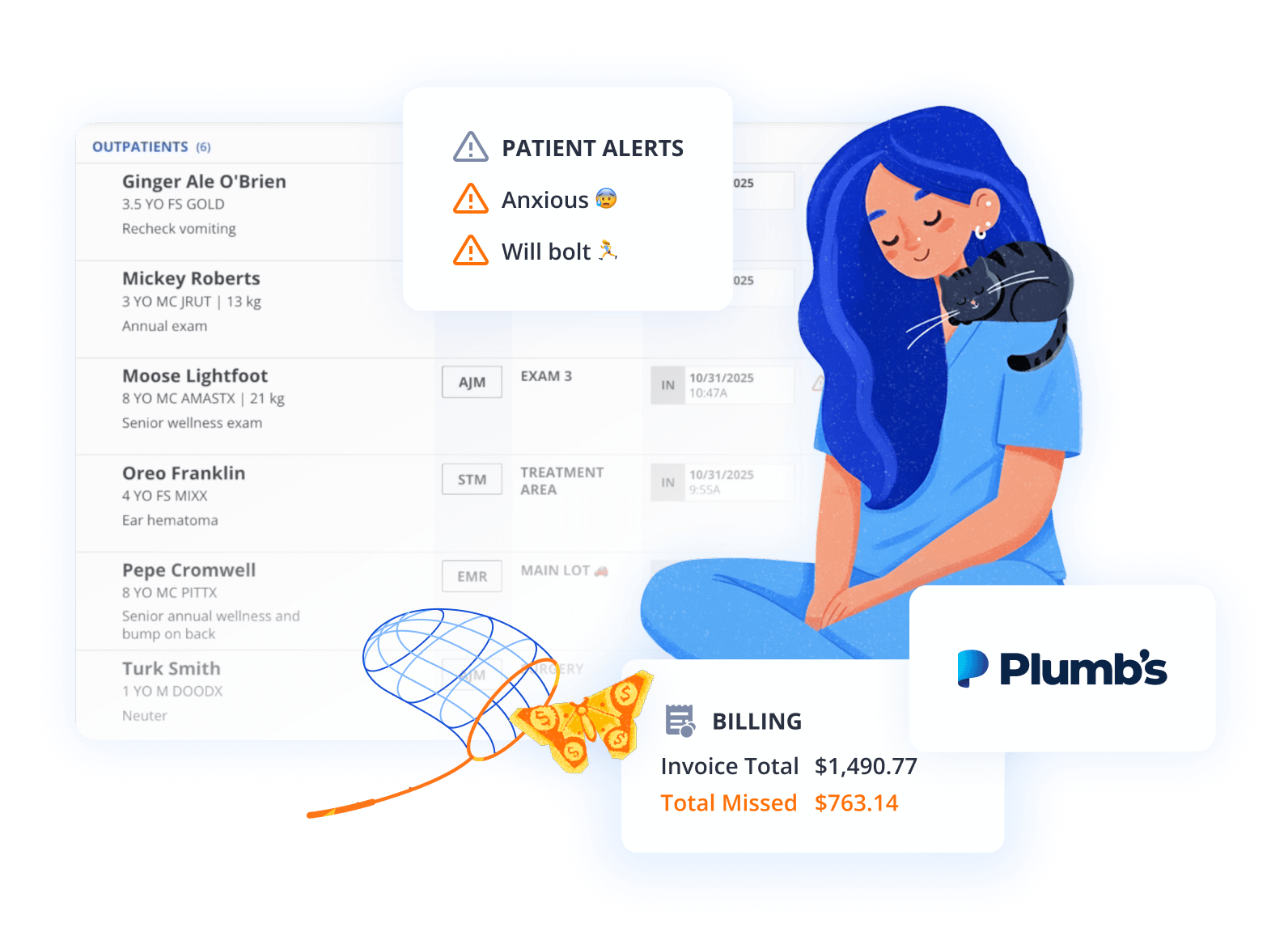 Female Vet with Cat, Status Board and Charge Capture