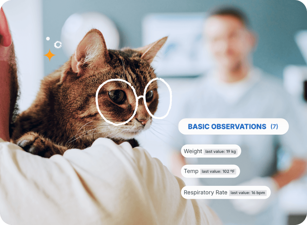 A cat on a Veterinarian's shoulder with clinic notes