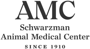 AMC