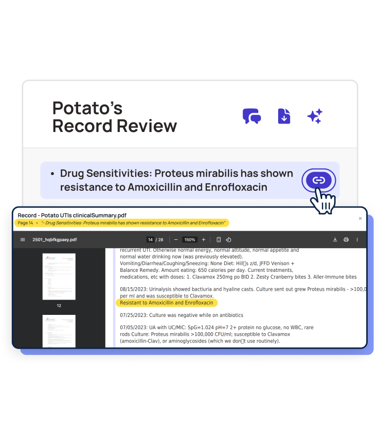 ScribbleVet Record Review distilling a veterinary patient's full medical history into a focused, customizable summary with inline source references