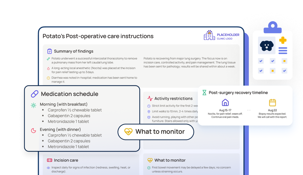 ScribbleVet Care Card discharge infographic giving veterinary pet owners a clear visual summary of their animal's visit and next steps in English, Spanish, or French