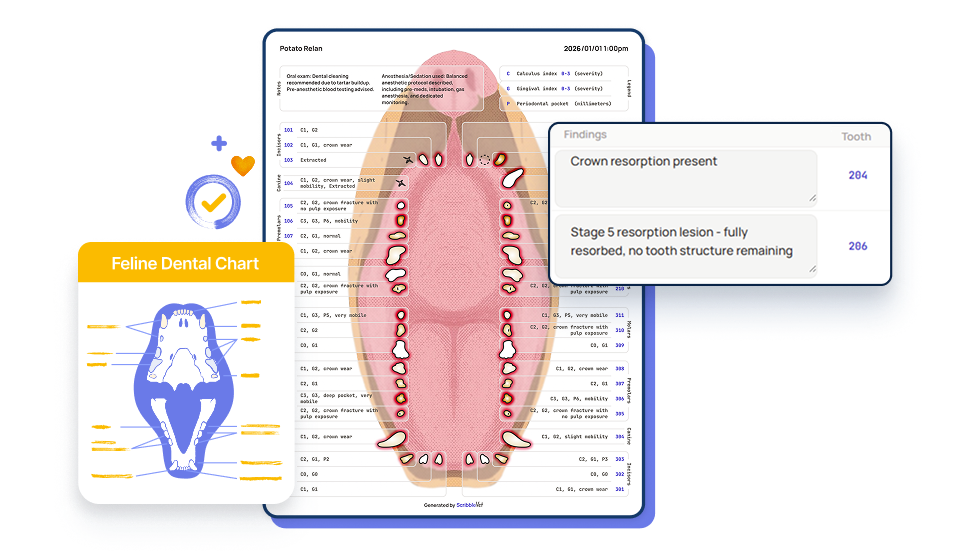 ScribbleVet AI-generated canine and feline dental chart mapping COHAT findings, scores, and extractions to the correct tooth for veterinary patients