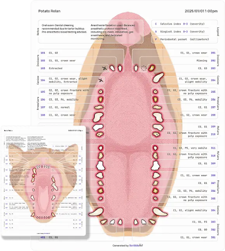 ScribbleVet canine and feline dental charts showing tooth-by-tooth COHAT findings.