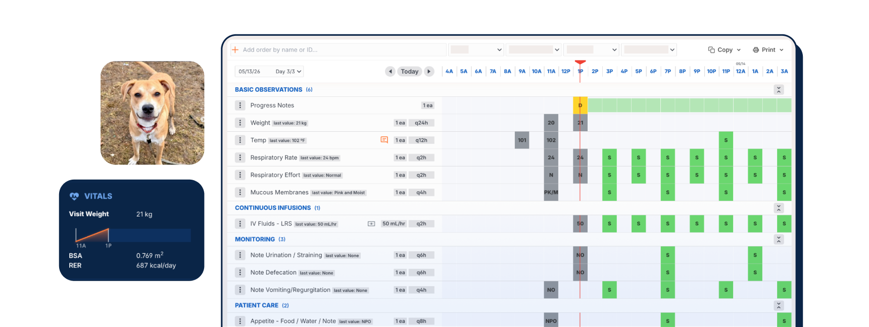 Instinct Treatment Plan digital veterinary treatment sheet showing real-time tracking of animal treatments, medications, vitals, tasks, and patient status