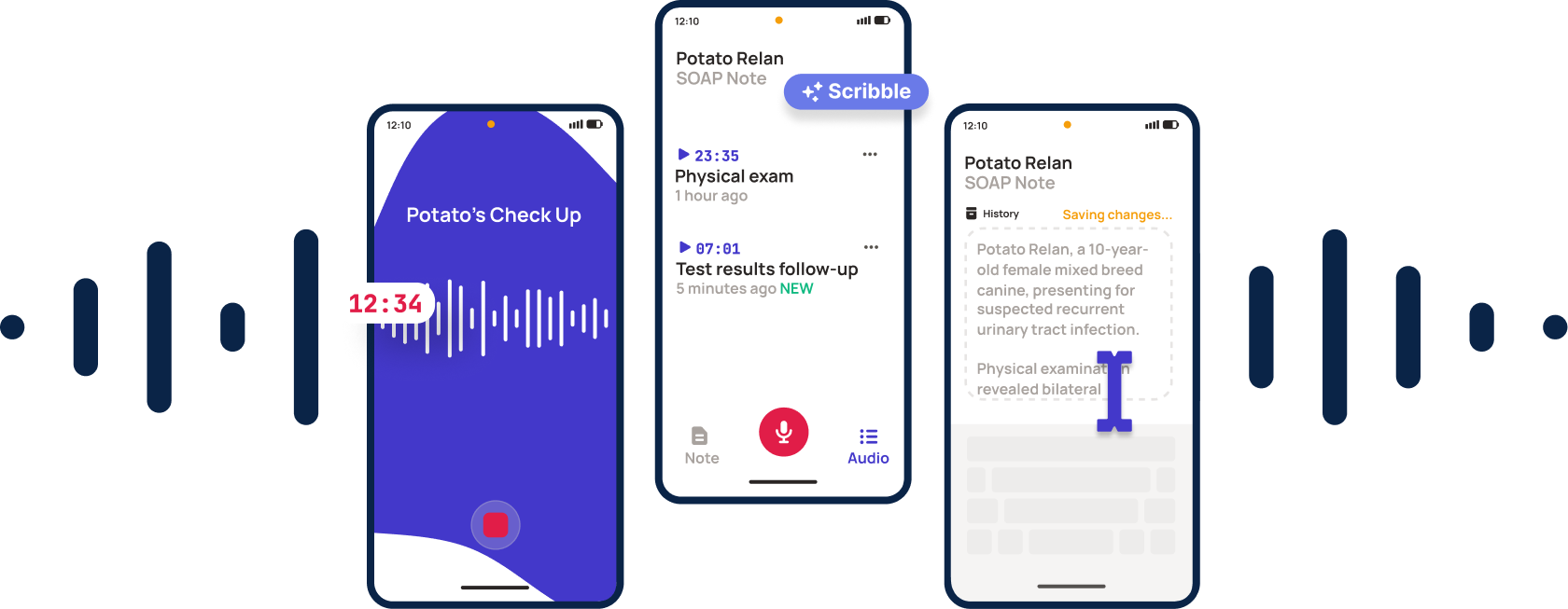 ScribbleVet Process of creating an AI SOAP Note