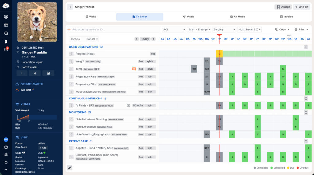 Instinct Treatment Plan displays a digital veterinary hospital treatment sheet with scheduled, completed, due, and overdue treatments.