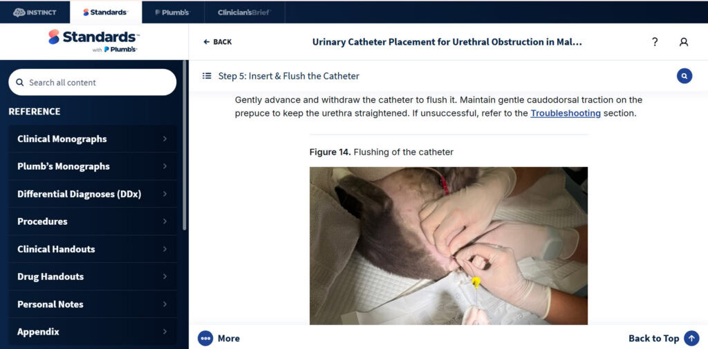 Standards of Care procedure guide for urinary catheter placement in feline urinary obstruction.